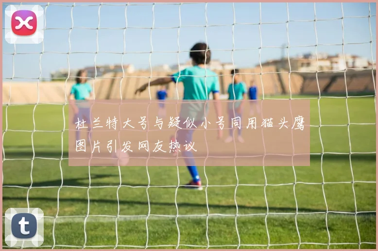 杜兰特大号与疑似小号同用猫头鹰图片引发网友热议